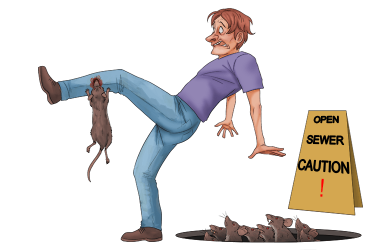 One bite is bad enough, but you'll get more if you go into the sewer (morsure).