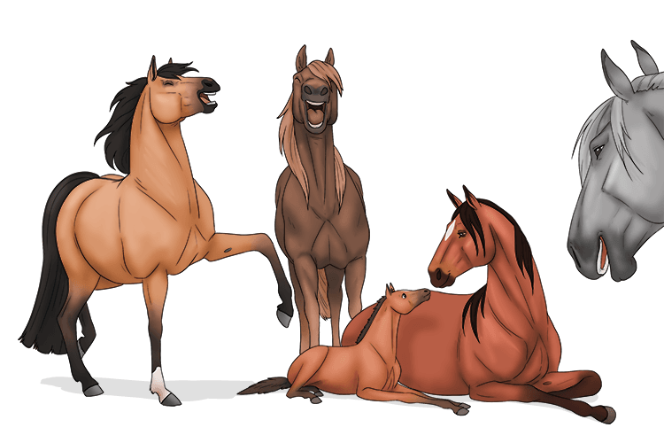 When the horse was born all the horses neighed (nay).