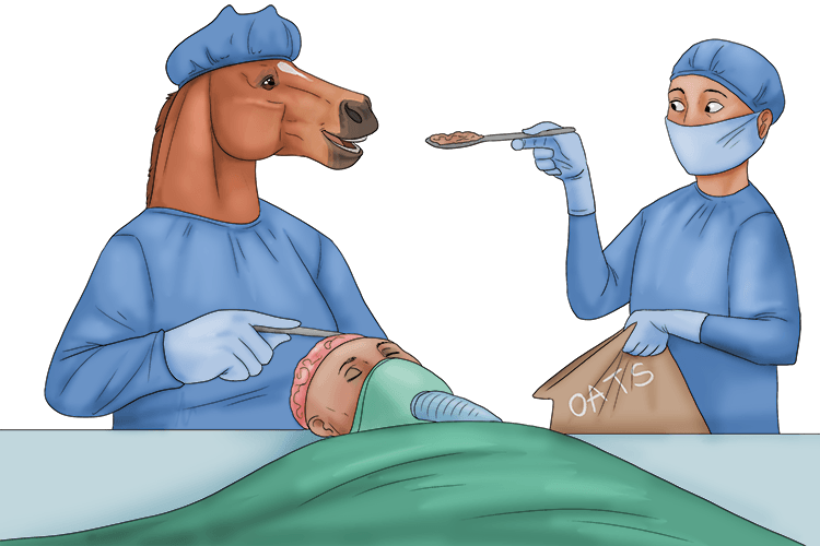 The brain surgeon likes to be served oats (cerveau) as she operates.