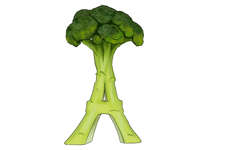I made the Eiffel Tower out of broccoli