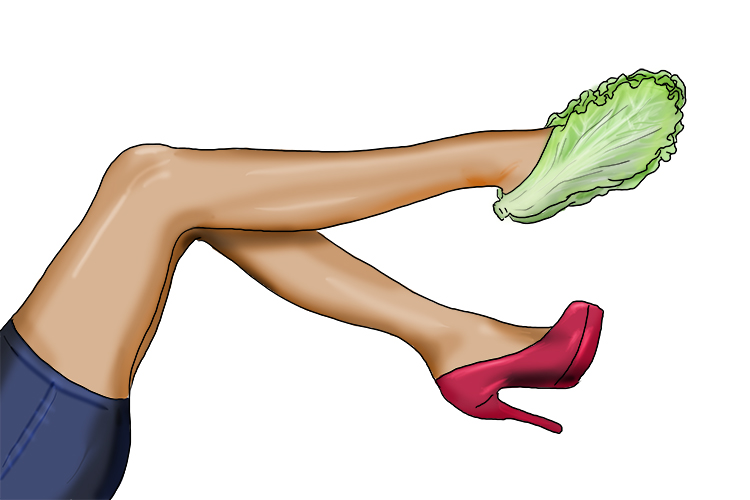 She wore a cabbage on one foot instead of a shoe.