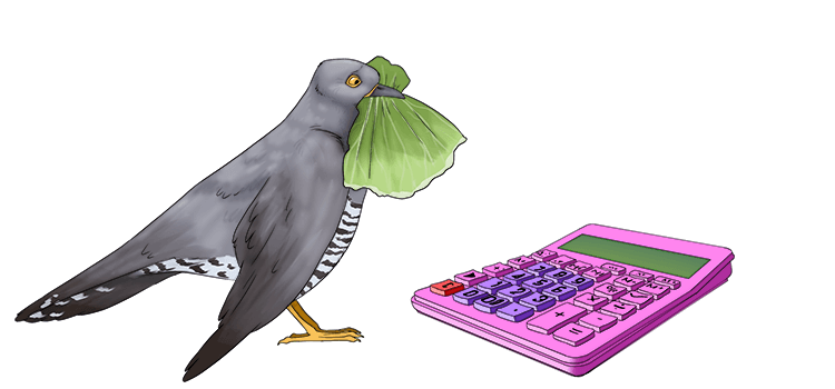 CALCULATRICE FRENCH intelligence overview
