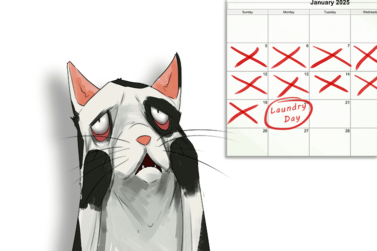 After checking the calendar, the cat realised it was laundry day (calendrier)