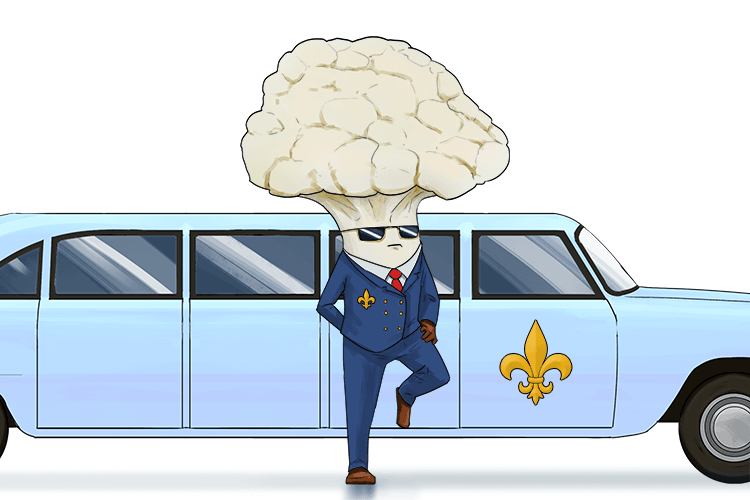The cauliflower worked as a chauffeur for the French royalty, hence the Fleur-de-lis (chou-fleur)