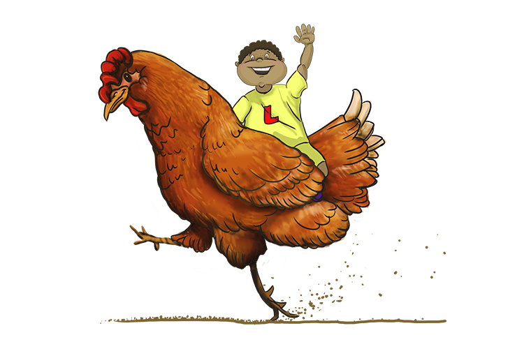 Poulet is masculine, so its le poulet. Imagine the early learner riding on the back of a massive chicken.