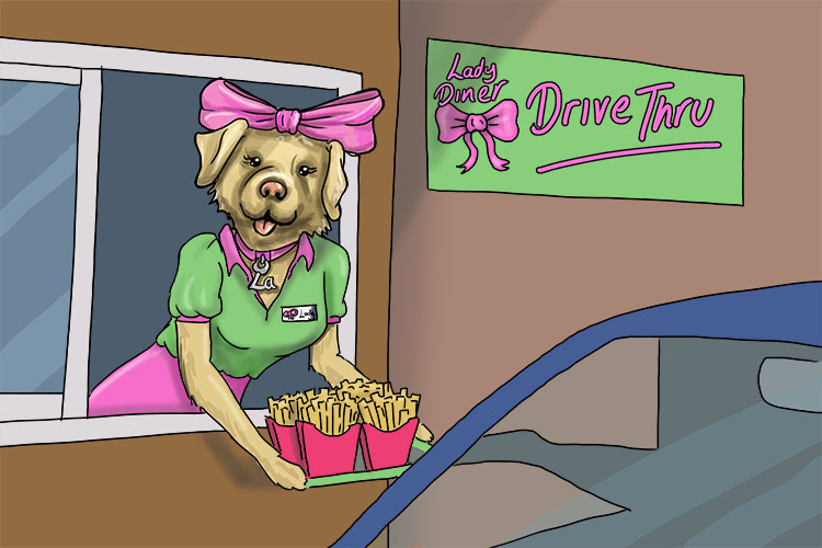 Frites is feminine, so it's la frites. Imagine the Labrador serving a customer chips at a drive-thru.