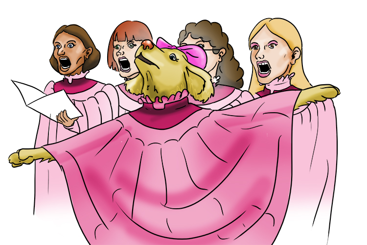 Église is feminine, but it begins with a vowel so it's l'église. Imagine our lady Labrador singing in the church choir