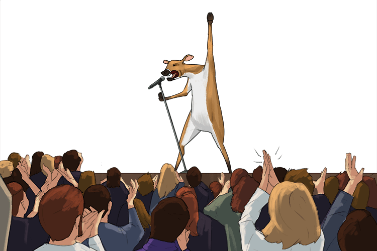 The audience clapped and applauded the deer (applaudir)