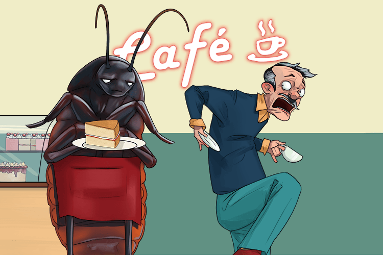 The cockroach in the café scared my father (cafard)