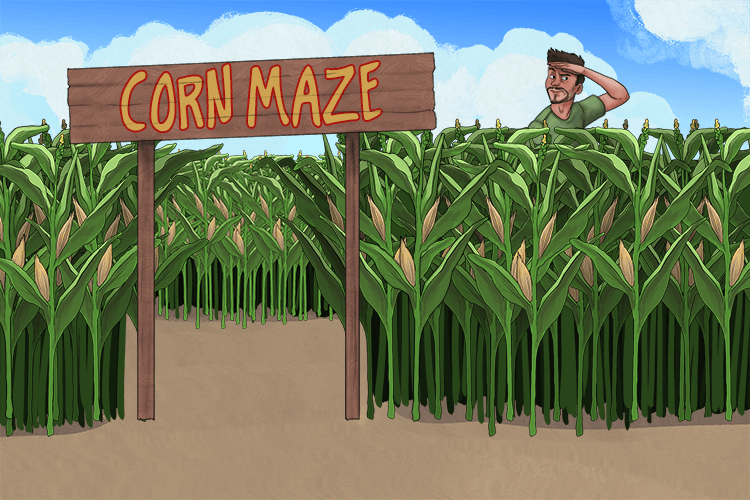 The field of corn was turned into a maze (maïs).