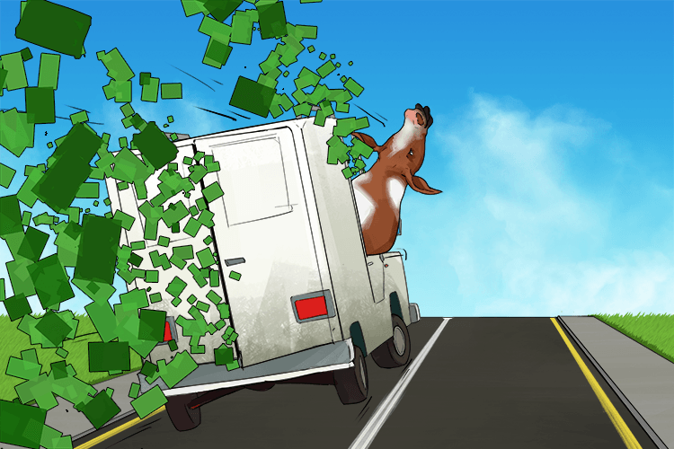 The cow stole a van full of cash (vache)