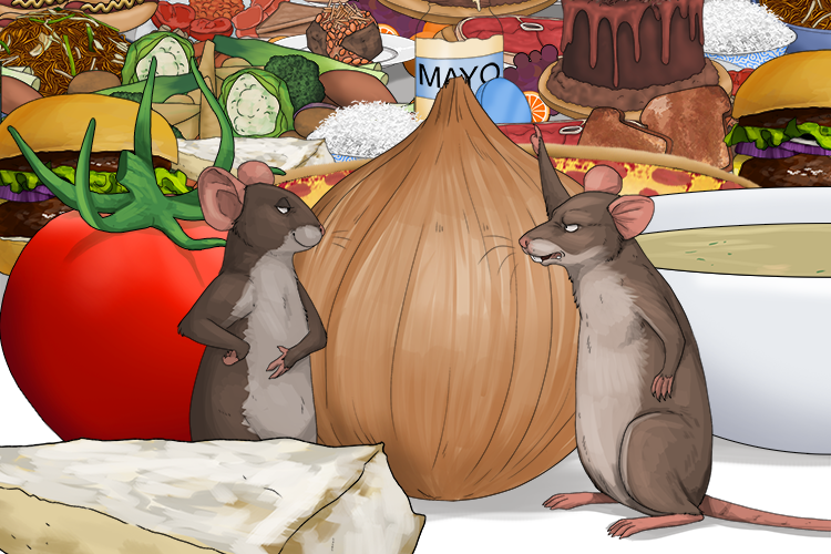 You must be crazy if you think you can eat all that food (fou).