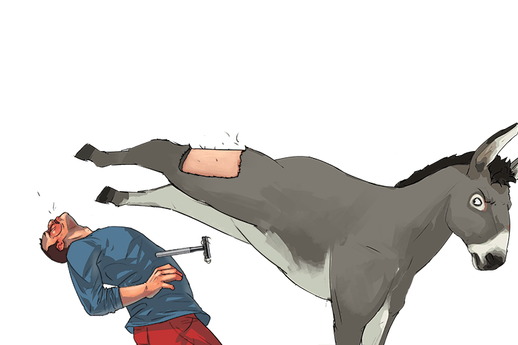 Beware of the danger. A donkey can kick when you shave (danger) its legs