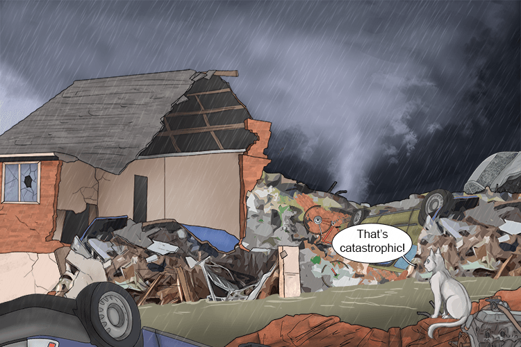 The natural disaster caused catastrophic (catastrophe) damage.