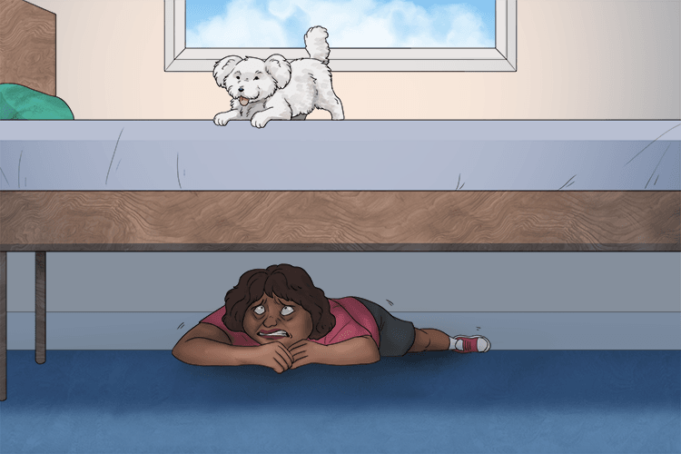 She was scared of dogs, so she hid under (chien) the bed.