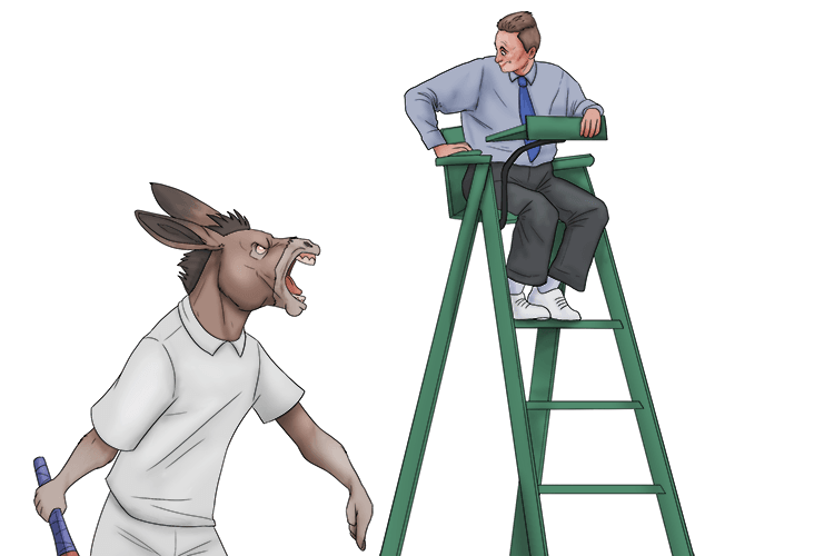 The donkey was angry at the umpire (âne).