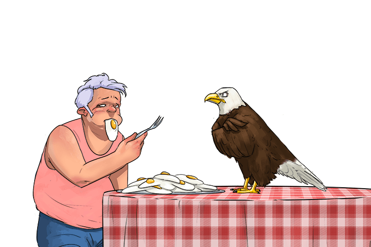 The eagle didn't like that I had eggs for lunch (aigle)