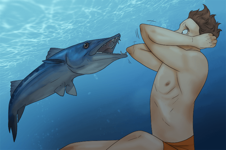 I used my elbow to fight off the barracuda (coude).