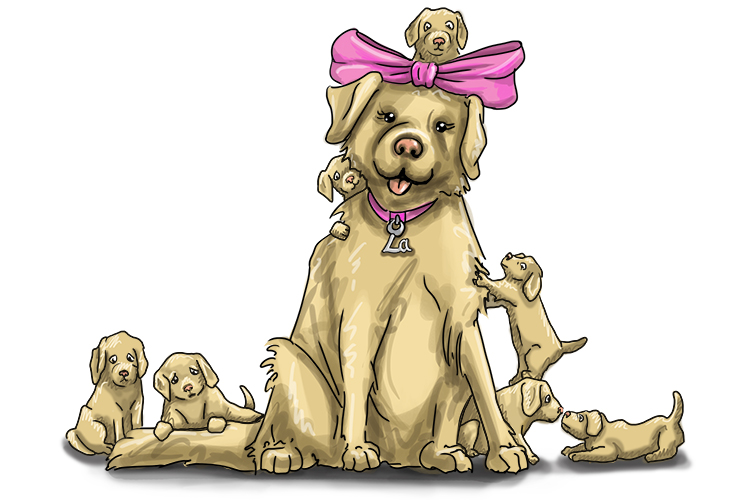 Famille is feminine, so it's la famille. Imagine our lady Labrador having a family of her own.