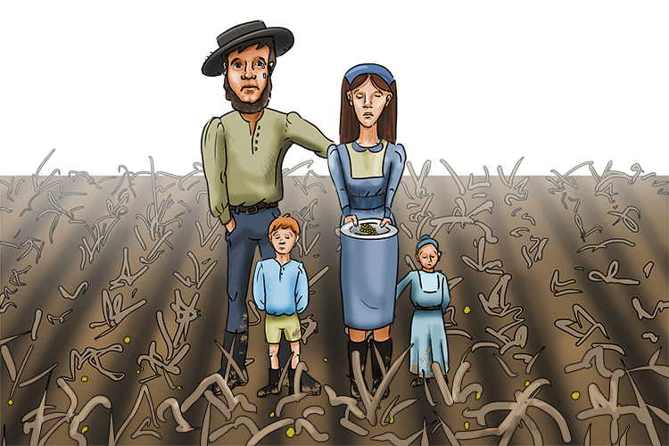 The family discovered their crops had been destroyed – they faced an immediate famine (famille)