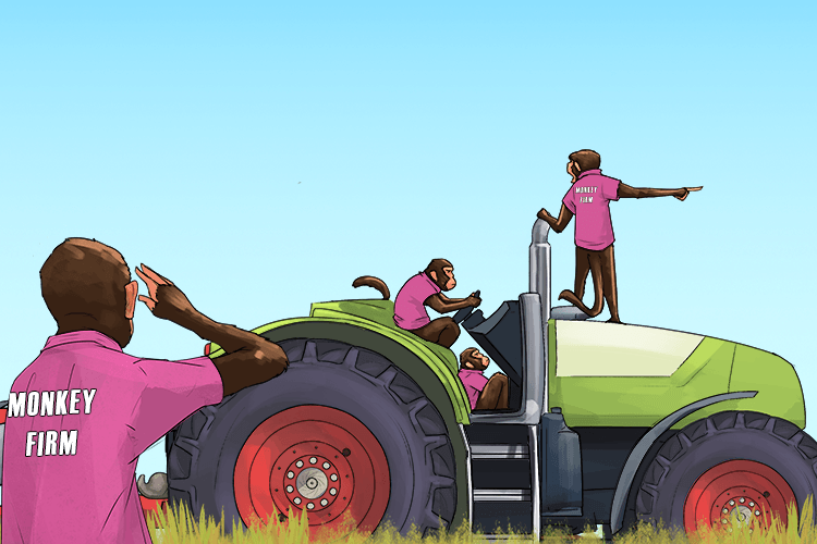 This farm had a firm of monkeys (firme) working there