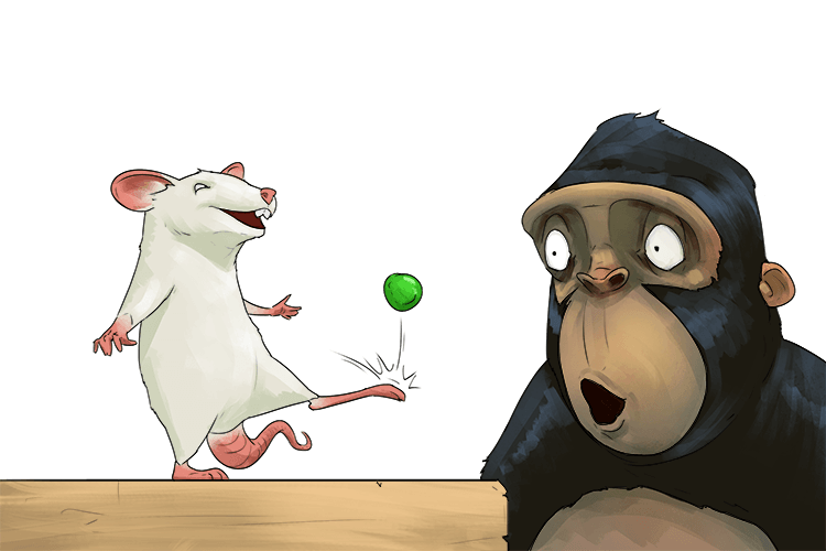 With both feet I could do kick ups with a pea, but the ape (pied) couldn't