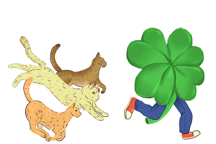The four-leafed clover was being chased down as the cat ran (quatre) after it.