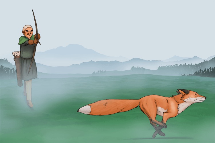 The fox was running from the archer (renard).
