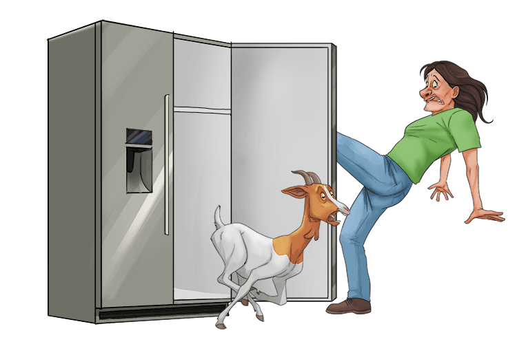 She opened the fridge and freed the goat (frigo).