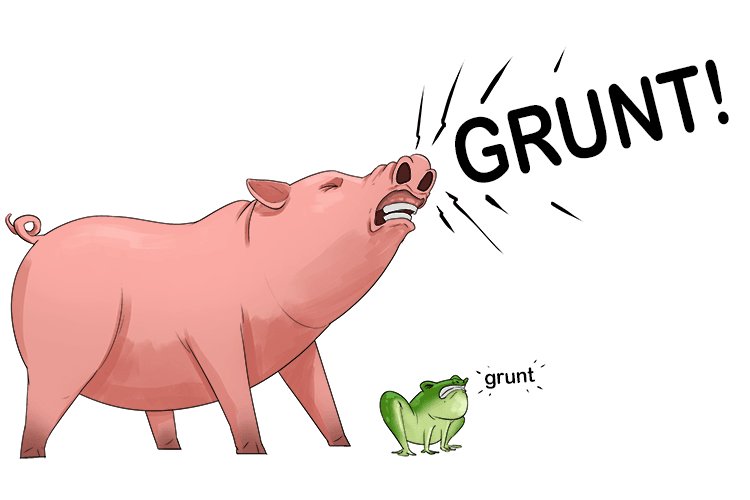 The frog grunted weakly (grenouille), not at all like the pig she was with