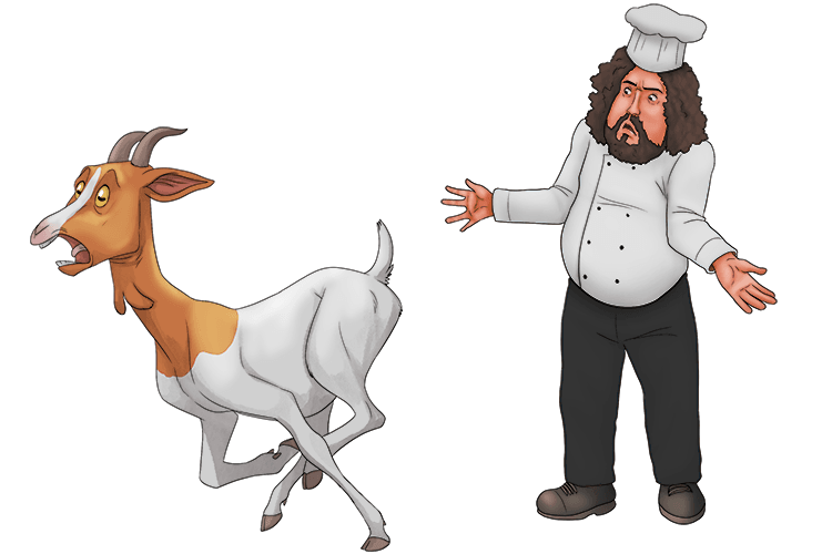 If a goat sees a chef, it'll run (chèvre) away.