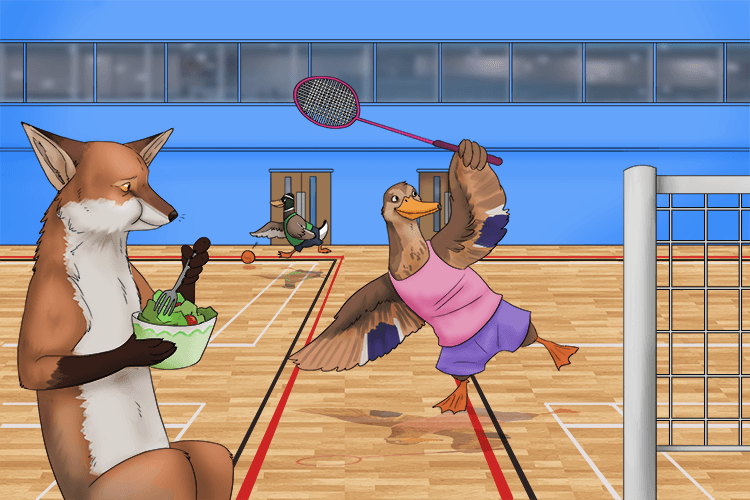 In the gym, I ate a salad while the ducks played sports (salle de sport).