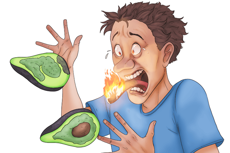 Don't have avocado covered in wasabi (avoir) if you don't like spicy food.