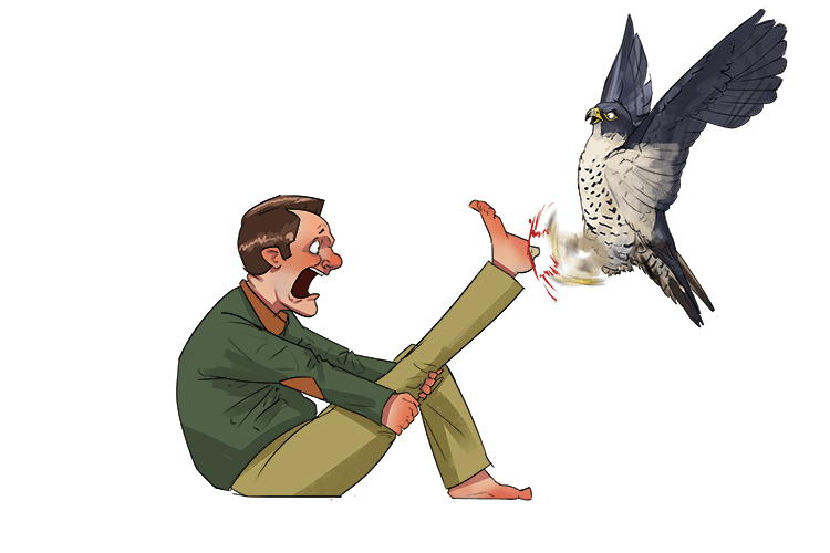 My heel was painful after the bird of prey sunk its talons (talon) into it