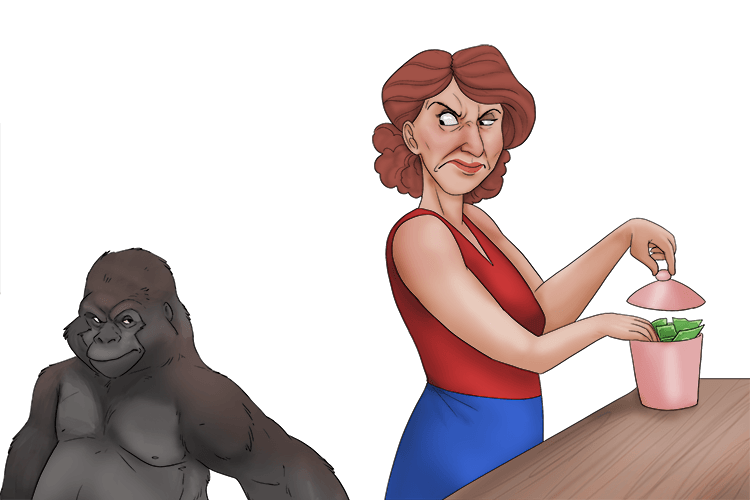 I have to hide my cash from the ape (cache).