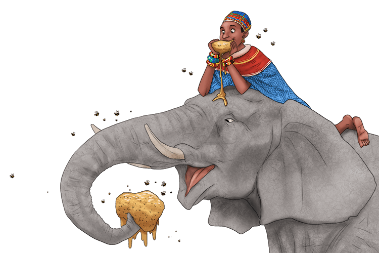 I eat honey for every meal and so does my elephant (miel).