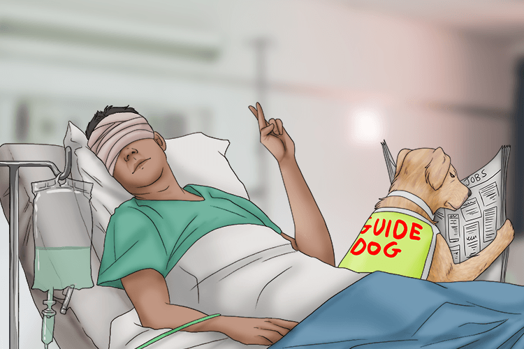 "It's a big if, but if the operation's worked, you will see (si) again.