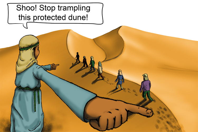 The dune (June) was designated an area of outstanding natural beauty, but when too many people started trampling it they appointed a shooer (juin) to shoo them away.