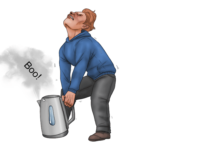 This kettle will say "boo!" if you aren't (bouilloire) strong enough to lift it.