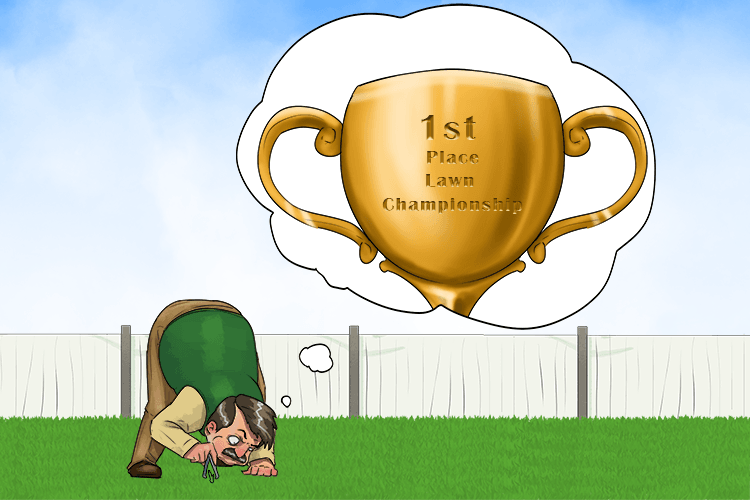 His lawn had to be perfect or else he'd lose (pelouse) the competition