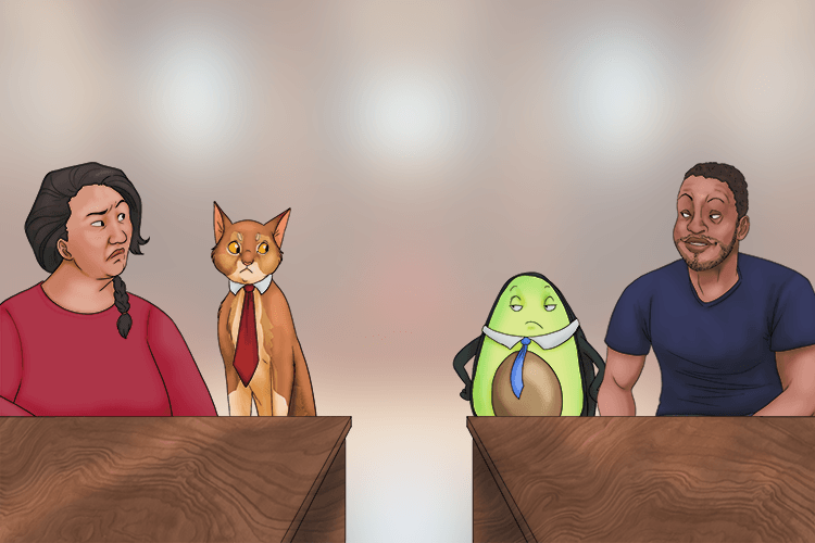 His lawyer was an avocado (avocat) and hers was a cat (avocate).