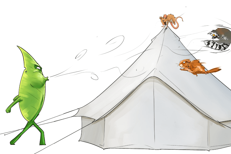 The leaf blew the furry animals off the yurt (feuille)
