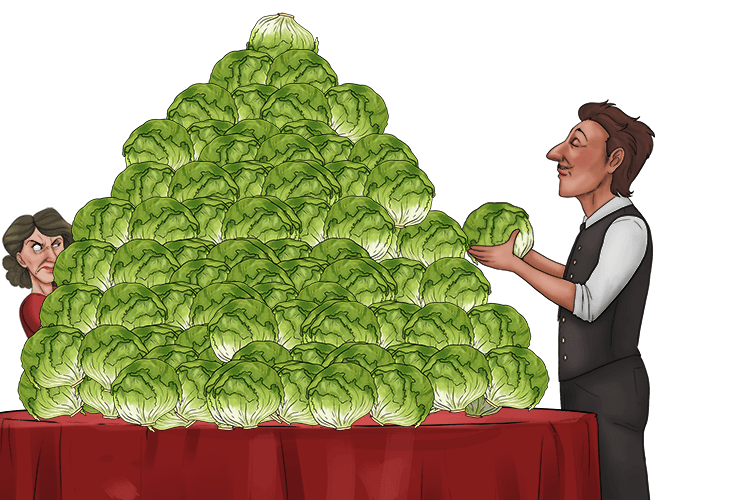 She asked for lettuce, but they gave the lady too (laitue) much.