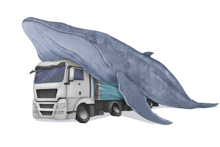 This lorry wasn't made to carry me on (camion) the back.