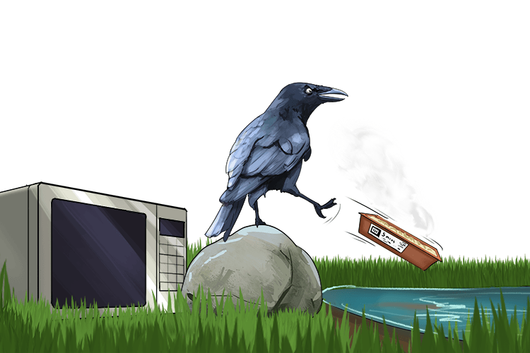 It hated the microwave meal, so the crow threw it in the pond (micro-ondes)