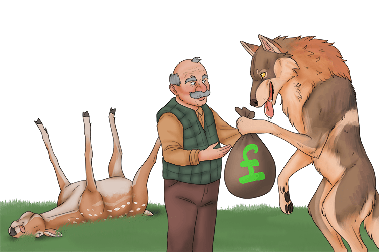 On Monday I spent too much money on lunch. I ordered a whole deer (lundi).