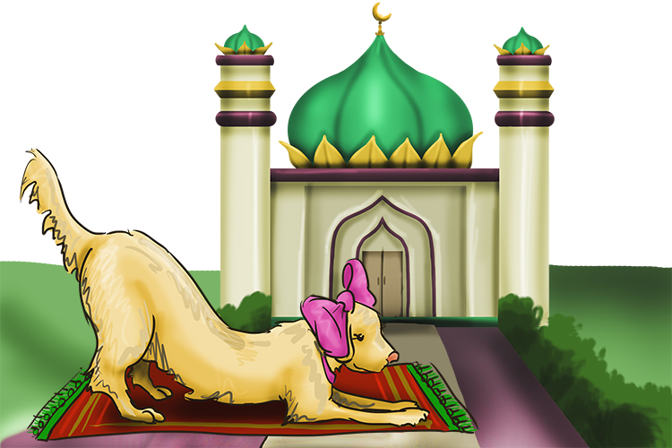 Mosquée is feminine, so it's La Mosquée. Imagine a Labrador praying outside a mosque.