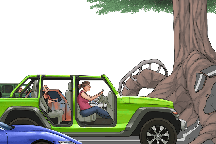 On the motorway, every automobile had stopped because there were tree roots (autoroute) in the way.
