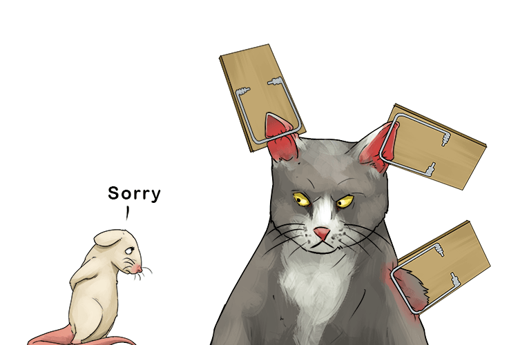 The mouse said sorry (souris) to the cat