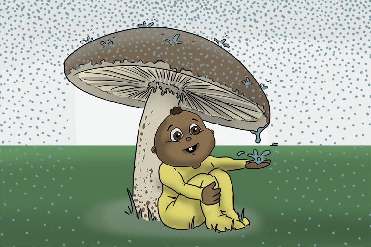 Champignon is masculine, so it's le champignon. Imagine the early learner under a huge mushroom sheltering from the rain.